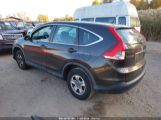 HONDA CR-V LX снимка