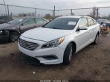 HYUNDAI SONATA photo