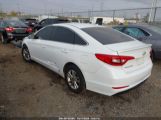 HYUNDAI SONATA photo