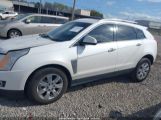 CADILLAC SRX LUXURY COLLECTION photo