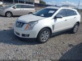 CADILLAC SRX LUXURY COLLECTION photo