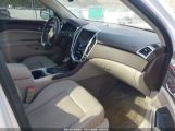 CADILLAC SRX LUXURY COLLECTION photo