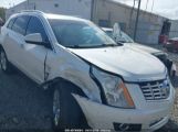 CADILLAC SRX LUXURY COLLECTION photo