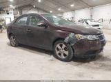 KIA FORTE EX photo