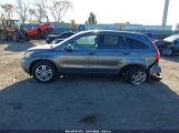 HONDA CR-V EX-L photo