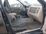 FORD ESCAPE XLS снимка