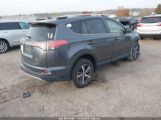 TOYOTA RAV4 XLE JTMRFREVXGD****** fotografie