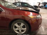 ACURA TSX 2.4 photo