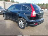 HONDA CR-V EX-L photo