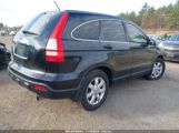 HONDA CR-V EX-L photo