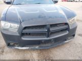 DODGE CHARGER POLICE photo