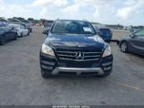 MERCEDES-BENZ ML 350 photo