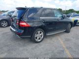 MERCEDES-BENZ ML 350 photo