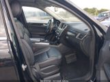 MERCEDES-BENZ ML 350 photo