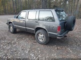 CHEVROLET BLAZER S10 1GNDT13Z0M2****** снимка
