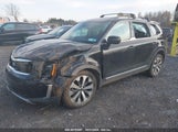 KIA TELLURIDE EX 5XYP3DHC6LG****** снимка