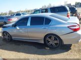 HONDA ACCORD SPORT SE photo