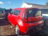 KIA SOUL + photo