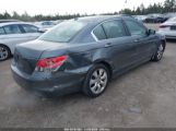 HONDA ACCORD SDN 2.4 EX-L/EX-L photo