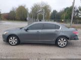 HONDA ACCORD SDN 2.4 EX-L/EX-L снимка