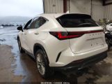 LEXUS NX 350 LUXURY photo