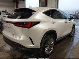 LEXUS NX 350 LUXURY photo