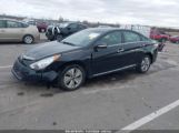 HYUNDAI SONATA HYBRID LIMITED photo