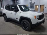 JEEP RENEGADE TRAILHAWK 4X4 снимка