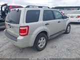 FORD ESCAPE XLT 1FMCU03729KB94912 снимка