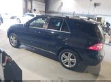 MERCEDES-BENZ ML 350 4MATIC photo