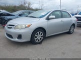 TOYOTA COROLLA LE JTDBU4EE9BJ****** fotografie