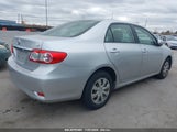 TOYOTA COROLLA LE JTDBU4EE9BJ****** photo