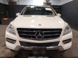 MERCEDES-BENZ ML 350 4MATIC photo