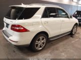 MERCEDES-BENZ ML 350 4MATIC photo