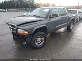 DODGE DAKOTA SPORT/SXT 1D7HG38N04S****** снимка