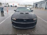 FORD MUSTANG V6 photo