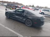 FORD MUSTANG V6 photo