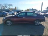 HONDA ACCORD EX photo