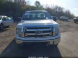 FORD F-150 XL photo