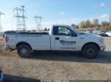 FORD F-150 XL photo