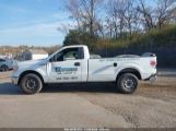 FORD F-150 XL photo