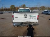 FORD F-150 XL photo