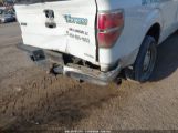 FORD F-150 XL photo