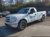 FORD F-150 XL photo