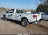 FORD F-150 XL photo