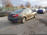 TOYOTA CAMRY LE photo