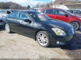 NISSAN MAXIMA 3.5 SE снимка