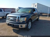 Ford F-150 Fx4/King Ranch/Lariat/Platinum/Xl/Xlt 1FTPW14V89FA18894 photo