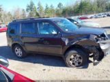 HONDA PILOT LX photo