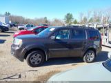 HONDA PILOT LX photo